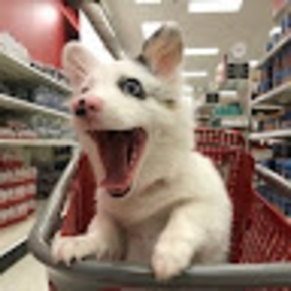 Meet your Posher, Adam - Picture 1 of 1